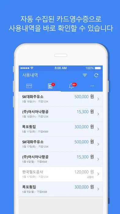 تصاویر 비플 법인카드