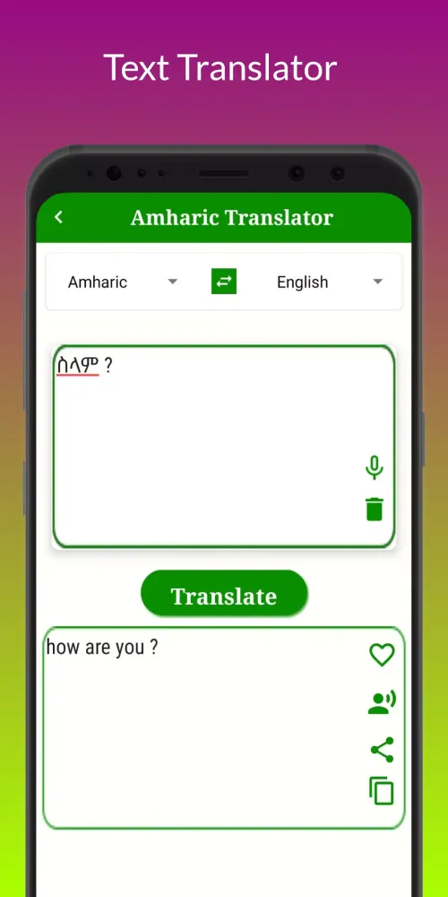 Amharic Translator Screenshots