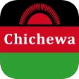 Chichewa Translator