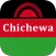 Chichewa Translator