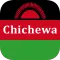 Chichewa Translator