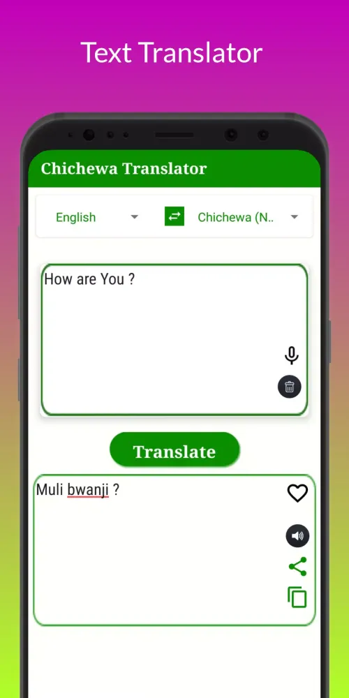 Capturas de pantalla de Chichewa Translator