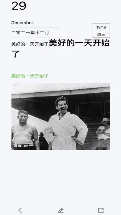 Capturas de tela do 随记日记-日记本·笔记本·记事本