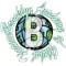 BK Academy of Global Finance