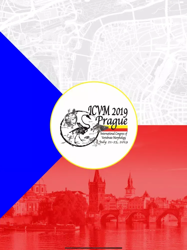صور ICVM 2019 iPad 