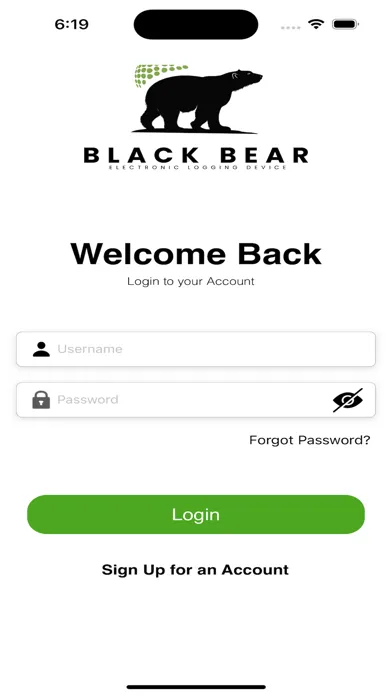 Tangkapan layar Black Bear LLC