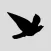 Blackbird Worldwide Corp.