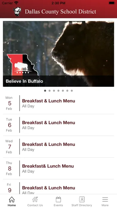 Capturas de pantalla de Dallas County School District