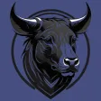 Blackbull Betting Tips