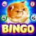 Pet Bingo: Bingo Game 2024