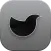 Blackdove