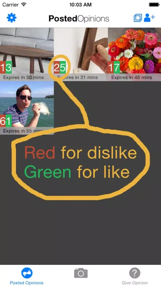 Captures d'écran de Honest Opinions