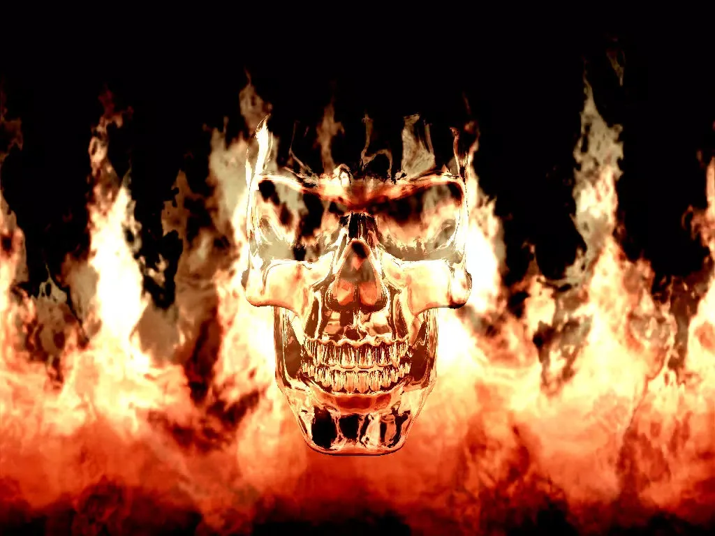 Fire Skull iPad 应用截图
