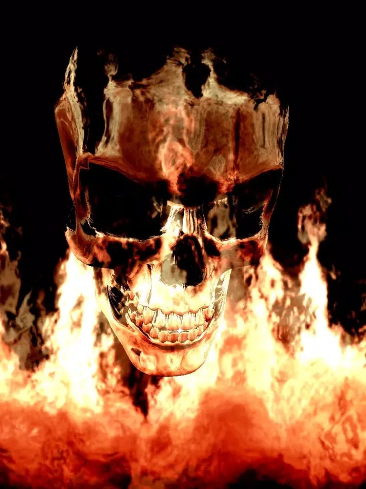 Fire Skull iPad 应用截图