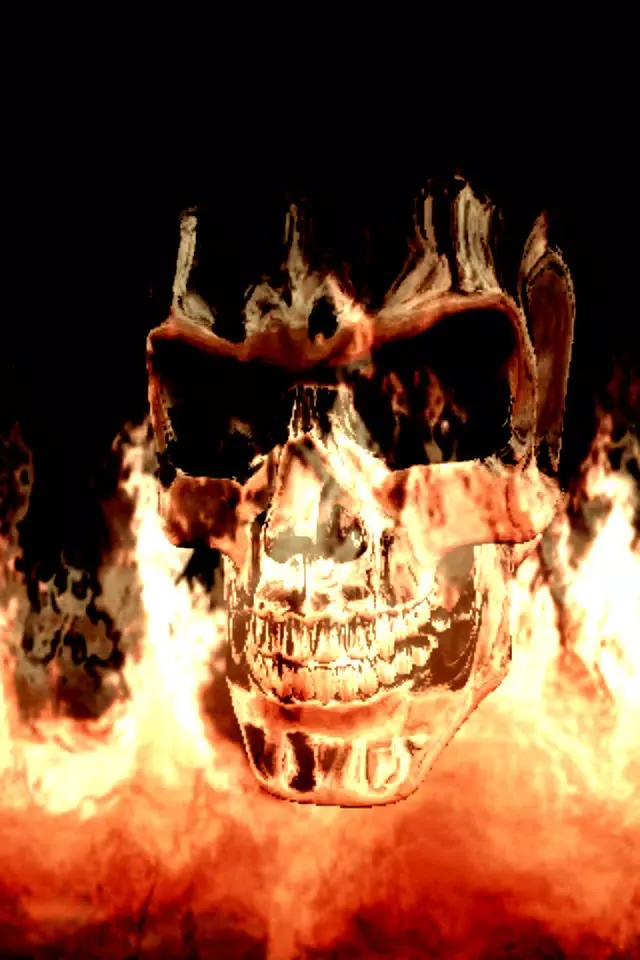 Fire Skull应用截图