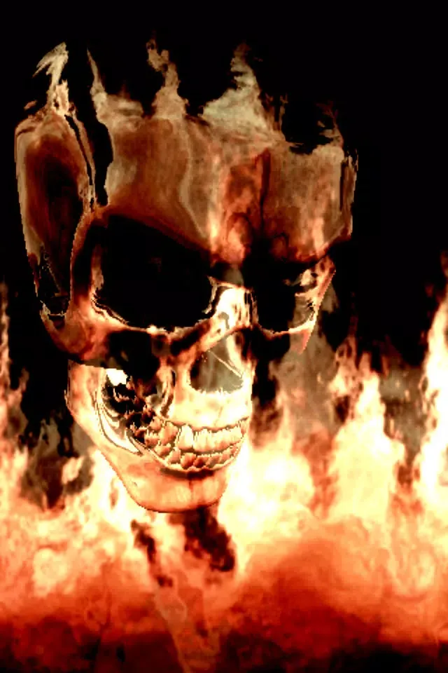 Fire Skull应用截图