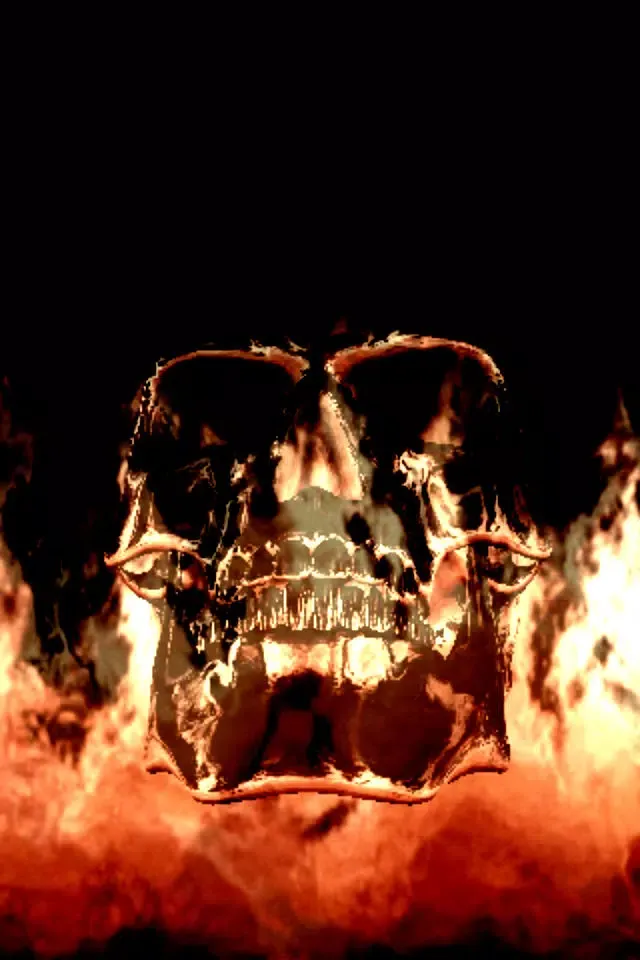 Fire Skull应用截图