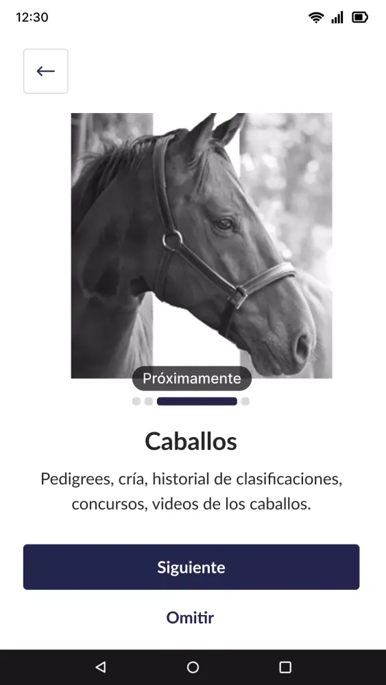 The Horses House Screenshots