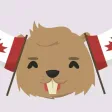 Canada Beaver Stickers Canada Beaver Stickers