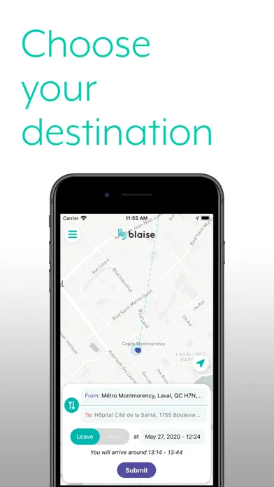 Blaise Transit Screenshots