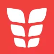VGFIT ABS VGFIT ABS