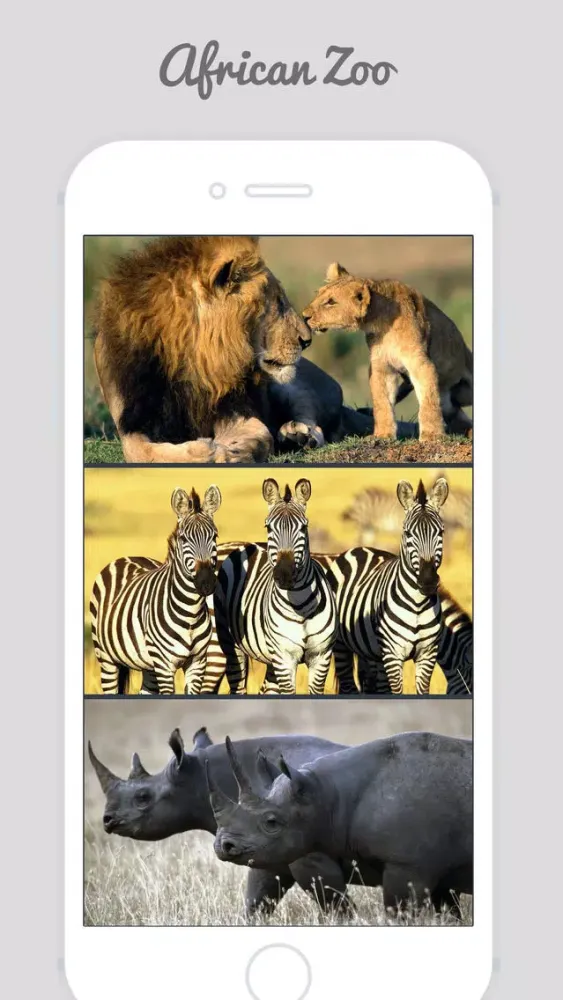 African Zoo スクリーンショット