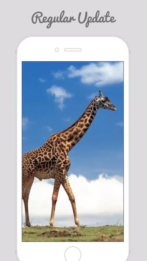 African Zoo スクリーンショット