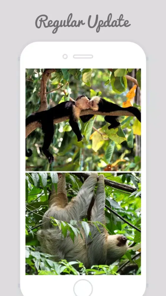 Screenshot di Costa Rica Wallpapers - Home & Lock Screen Wallz