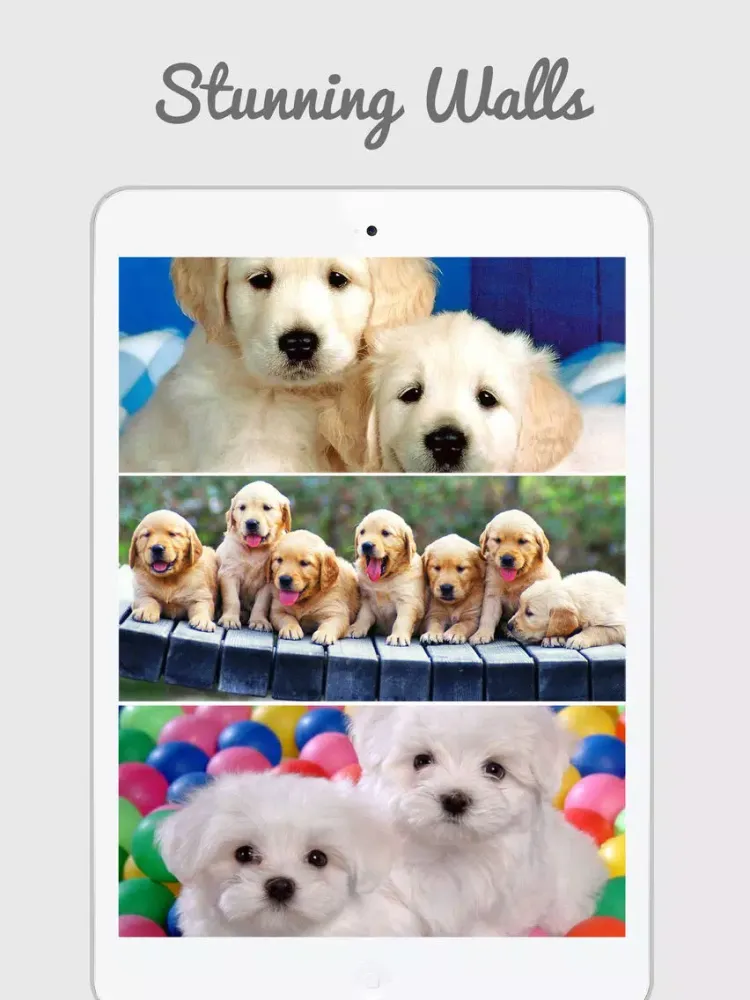 Captures d'écran de Cute Puppy Wallpapers iPad 