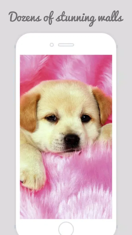 Captures d'écran de Cute Puppy Wallpapers