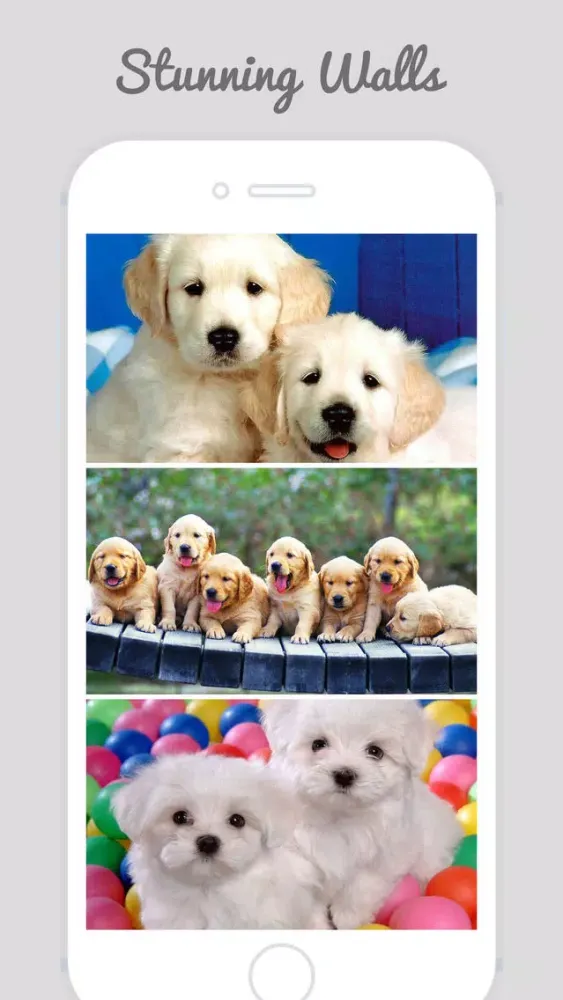 Captures d'écran de Cute Puppy Wallpapers