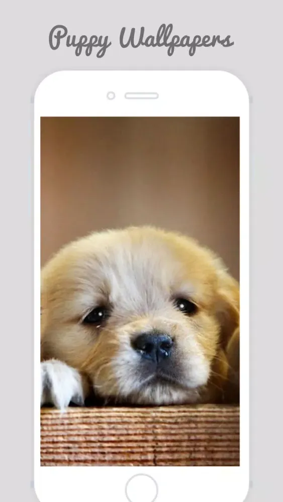 Captures d'écran de Cute Puppy Wallpapers