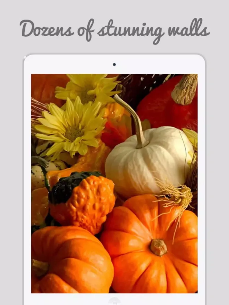 Thanks Giving Wallpapers 2017 iPad  Ekran Görüntüleri