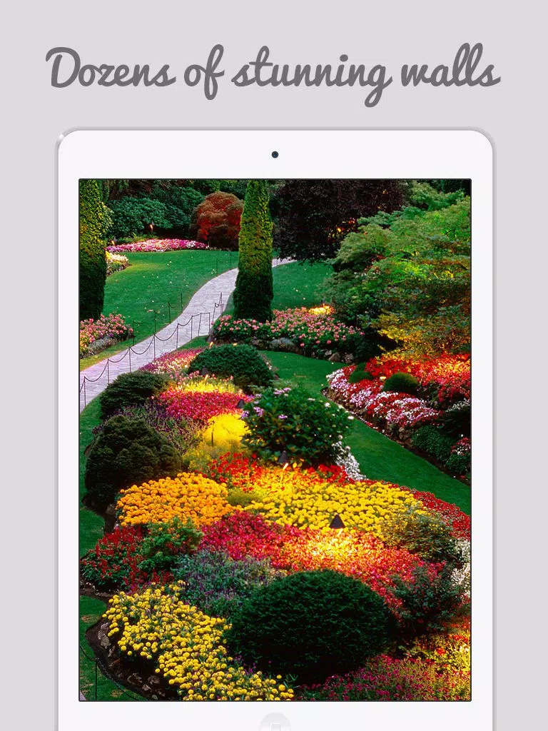 ภาพหน้าจอของ Creative Yard and Garden HD Catalogs iPad 