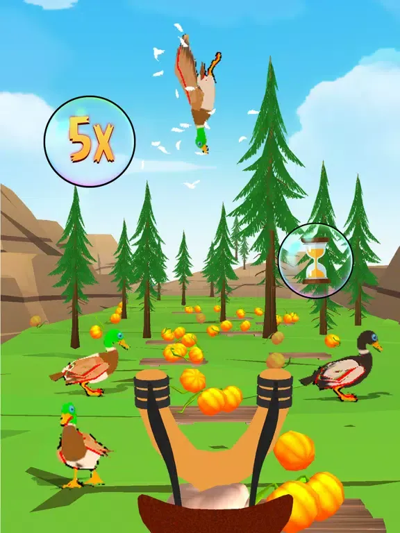 Crazy bird hunting shooter 3d iPad  スクリーンショット