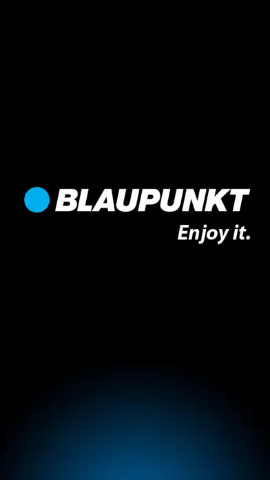 Screenshot di Blaupunkt DVR BP10