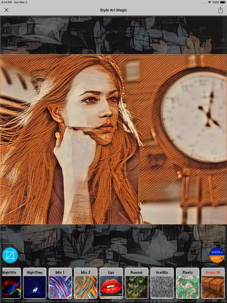Capturas de pantalla de Artistic Style Photo Effect iPad 
