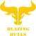 Blazing Bulls