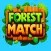 Forest Match