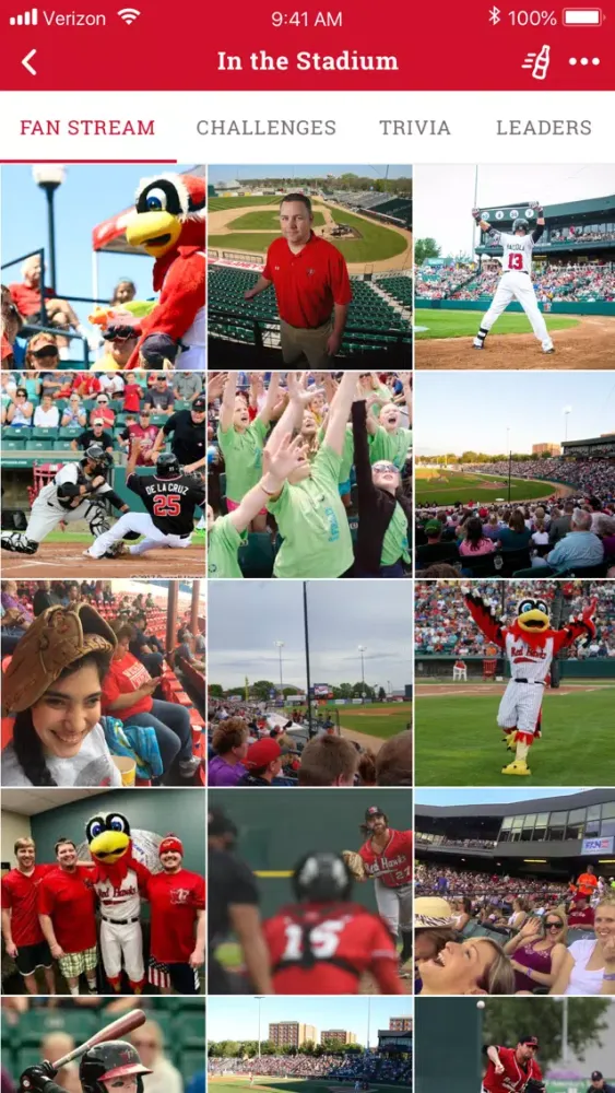 RedHawks Baseball Screenshots
