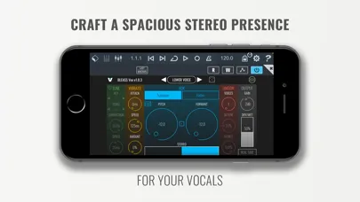 ภาพหน้าจอของ BLEASS Vox