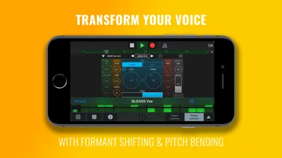 ภาพหน้าจอของ BLEASS Vox