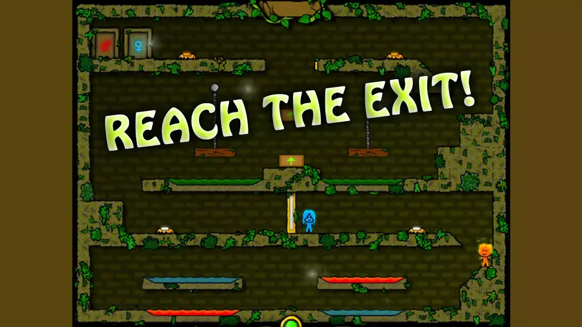Fireboy & Watergirl 2 - The Forest Temple سکرین شاٹس