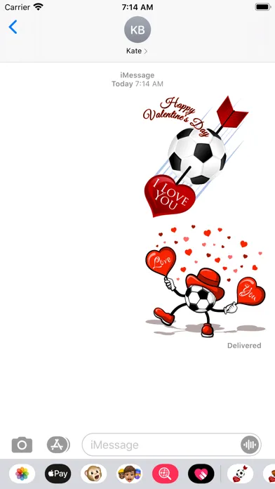 Soccer Valentines应用截图
