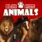 Blini Kids Animals games and puzzles for children