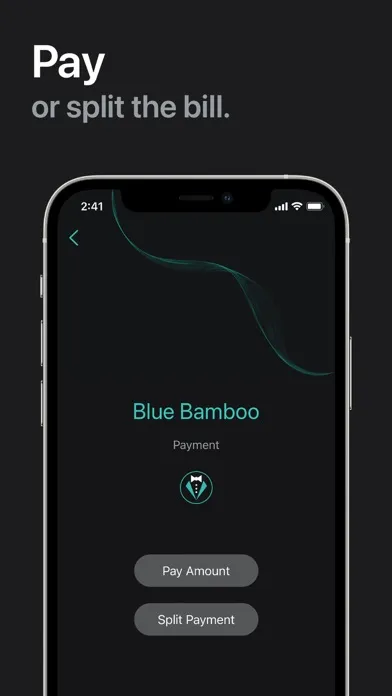 Capturas de pantalla de blinq Customer