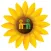 myBliss Health
