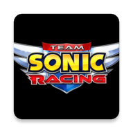 Team Sonic Racing Team Sonic Racing