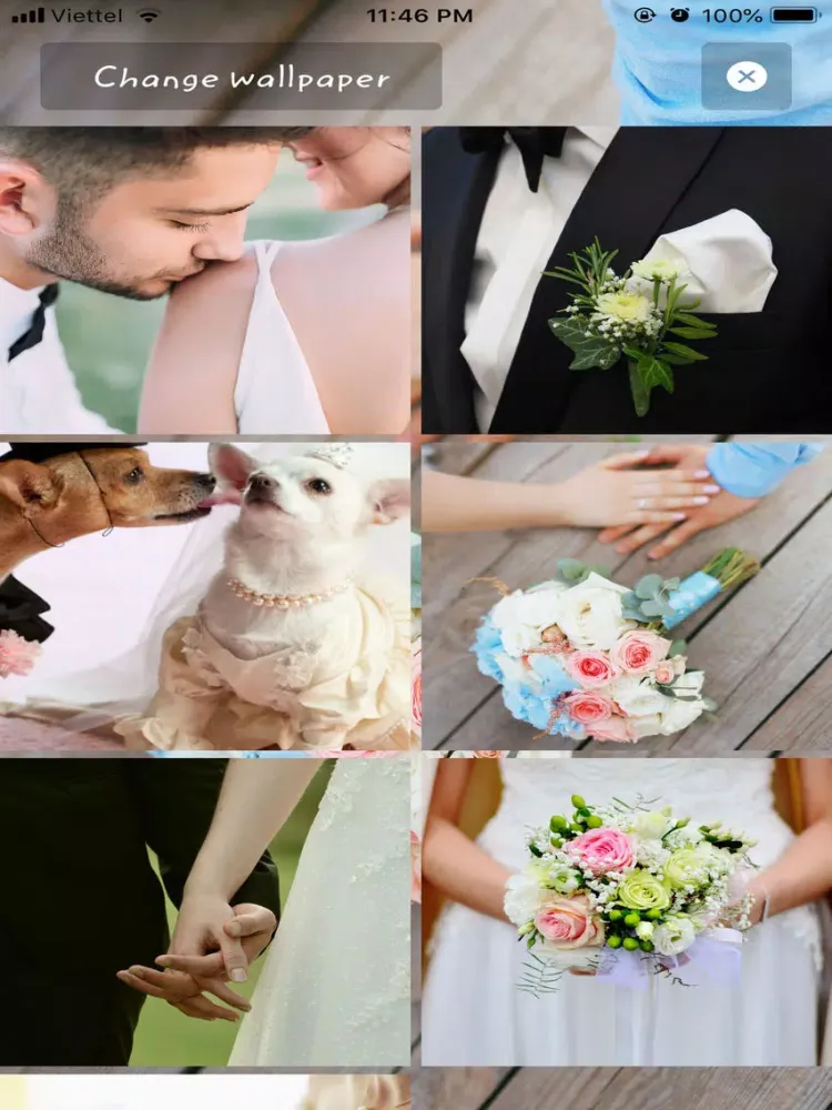 Capturas de pantalla de Wedding 365 -Wedding Countdown iPad 