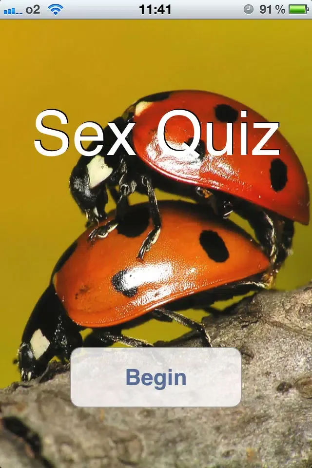 Sex-Quiz 스크린샷